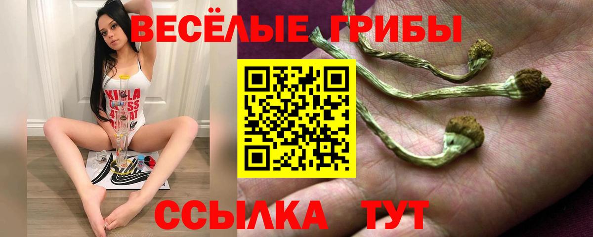 Галлюциногенные грибы Psilocybine cubensis Нижнекамск